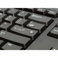 Kensington ValuKeyboard Black Spain - Durable, Affordable & Stylish Keyboard for Enhanced Productivity 1500109E